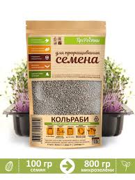 Выращивание цикламена из семян