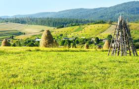 Чем помыть парник из поликарбоната